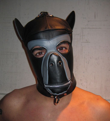 Leather Dog Hood