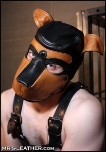 Leather Puppy Hood